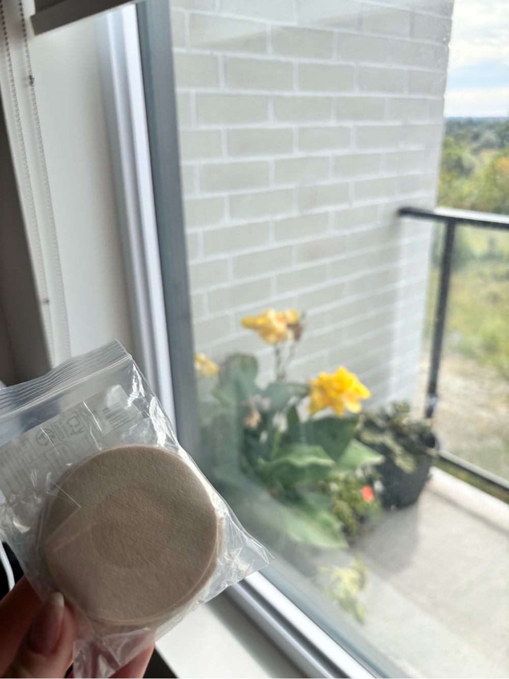 FREE with purchase - Circle Pasty Covers